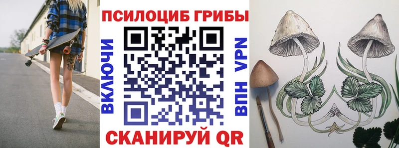 Галлюциногенные грибы ЛСД  купить  сайты  Скопин 
